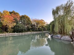 -长广溪湿地公园