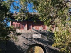 -云岗森林公园