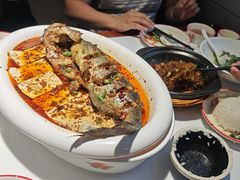 油泼黄河鲤鱼-黄河佬.油泼黄河鲤鱼.地道陕菜(百米大道店)