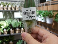 -鹿岛会员店 (龙湖三千集天街店)