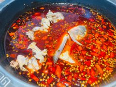 -销魂美蛙鱼头火锅(上海首店)