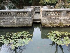 -习家池