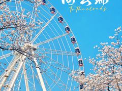 -顾村公园