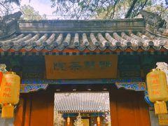 -大觉寺-停车场