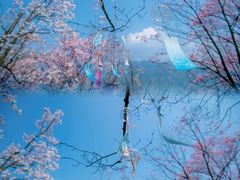 -九皇山景区