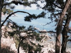 -养马岛旅游度假区