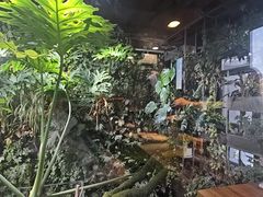 -森味薪火烧•烧鸟居酒屋•日本料理(望京店)