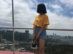 -金鸡山公园