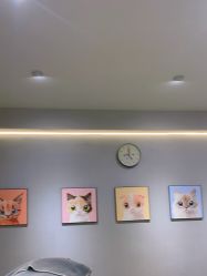 -洗脸猫·洗脸吧