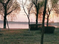 -丁香湖公园