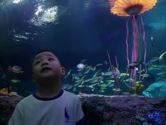 -沈阳海洋探索中心