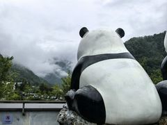 -卧龙中华大熊猫苑神树坪基地