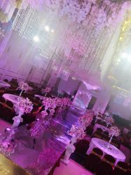 点击看大图 -谛融婚礼酒店·宴会厅(花园店)