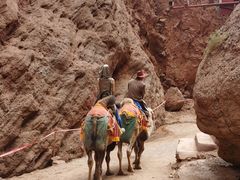 -天山神秘大峡谷