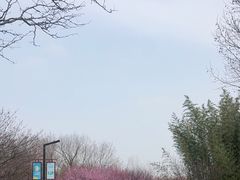 -江苏三台山国家森林公园
