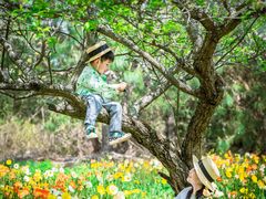 -名花谷生态庄园