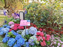 -人民公园(罗湖区)