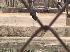 -祥源·阜阳生态乐园