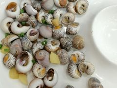 海螺-杨记海鲜楼(三门黑金冠店)