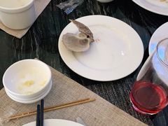 -东方红海鲜百汇(国际大厦店)