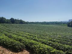 -敬亭山风景名胜区