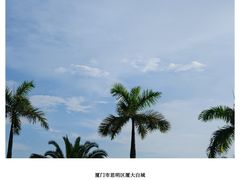-白城沙滩