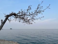 -大理洱海