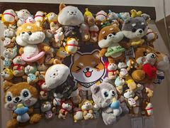 -逗柴咖啡屋·狗咖猫咖宠物桌游