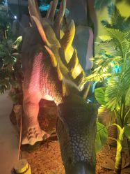 -恐龙探索乐园(磁器口店)