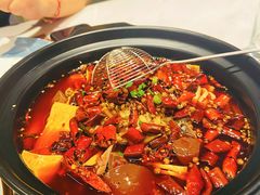 有鸡汤的毛血旺-渝悦情·新派川菜(建国门店)