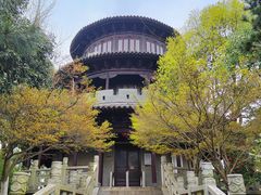 -八大山人梅湖景区