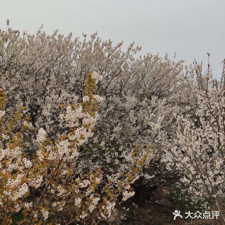 真是个踏青散心的好去处