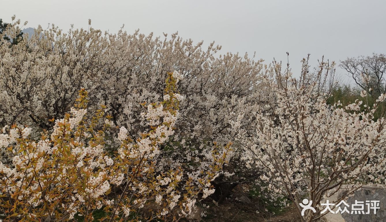 真是个踏青散心的好去处
