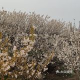 真是个踏青散心的好去处