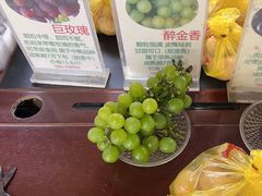 -马陆小张葡萄园农家乐