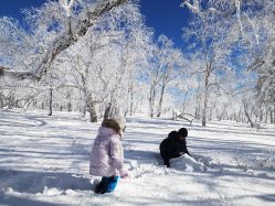 -大秃顶子山(雪谷店)