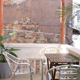 库存咖☕️和16岁“苏菲”，晒太阳、叹咖啡、聊人生