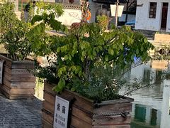 -东梓关景区村庄