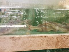 -鱼你相聚·河鲜馆(袁家岭店)