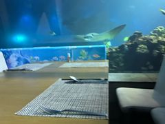 -海棠湾洲际-涛·海底餐厅·美人鱼·自助餐·海底隧道