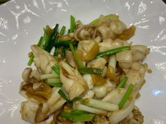 葱姜炒鲜鱿-轩记海鲜餐厅·四十五年老字号·经典粤菜(西区彩虹店)