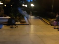 -星海公园(番禺区)