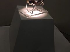 镶金兽首玛瑙杯-陕西历史博物馆