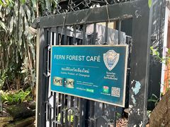 -Fern Forest Cafe