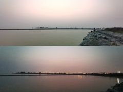 -合肥滨湖国家森林公园