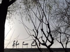-孔乙己(后海店)
