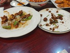 -邵年鸽(杨庄店)