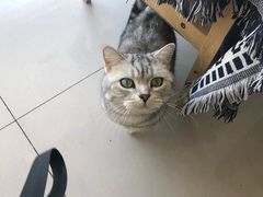 门面-平行世界·猫咖(首经贸店)