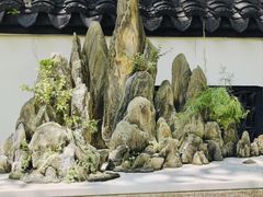 -上海醉白池公园