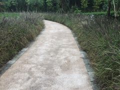 -昆山城市生态森林公园